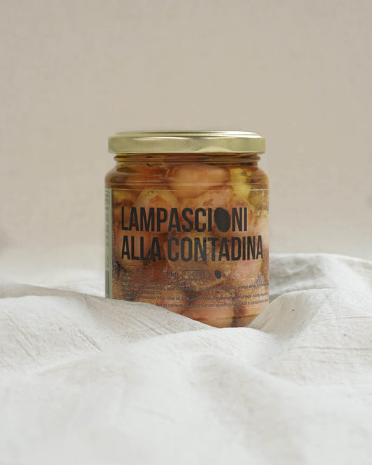 Lampascioni alla contadina - Oignons sauvages sous huile d'olive (280g)