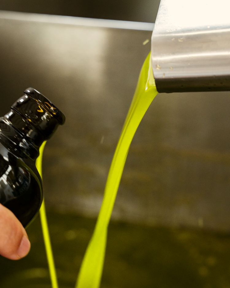 Huile d'olive vierge extra - Millésime 2024 - Mamma Patricia - Bottiglia - 0,5L - OLIO DI SERRA