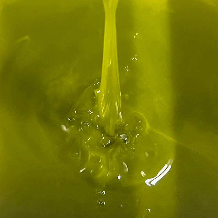 Huile d'olive vierge extra - Millésime 2025 Léonie - Bottiglia - 0,5L - OLIO DI SERRA