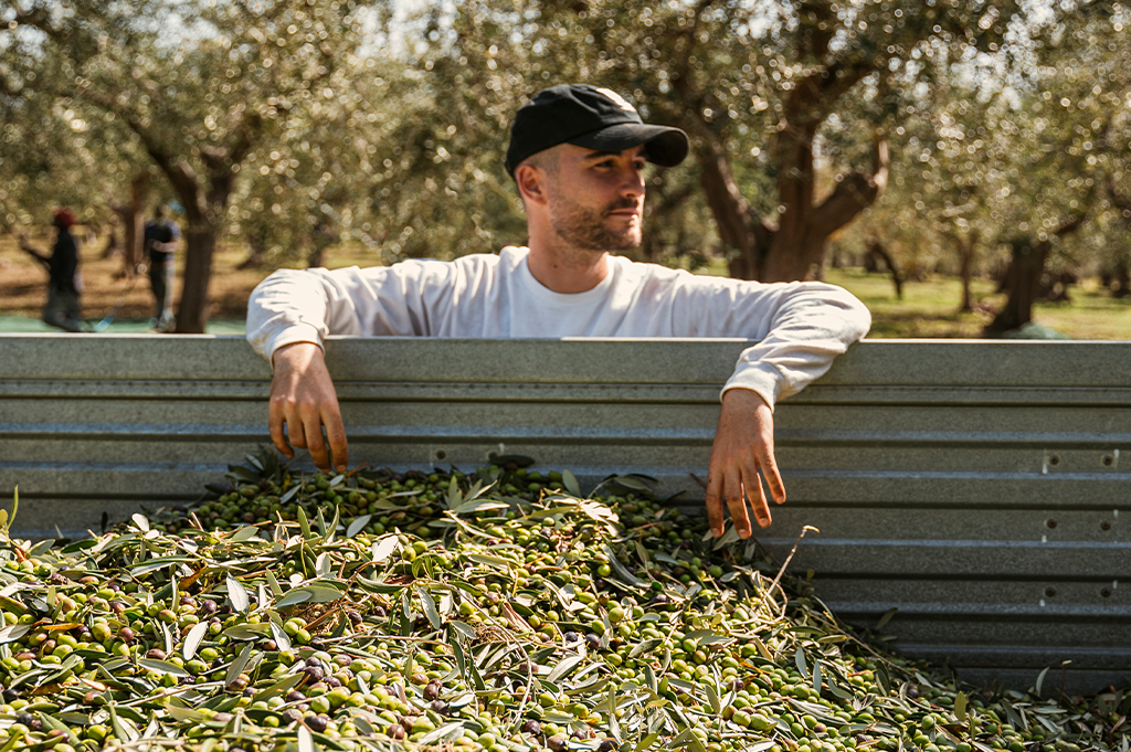 2024 - 10ÈME RÉCOLTE « DA OLIO DI SERRA ». 🫒