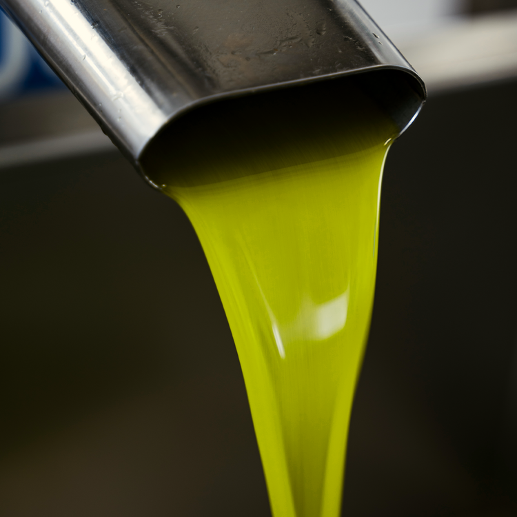 PRÉCOMMANDE - Huile d'olive vierge extra - Millésime 2025 Léonie - Bottiglia - 0,5L - OLIO DI SERRA