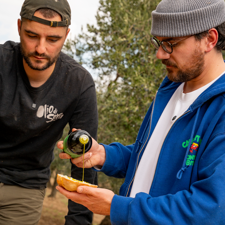 Huile d'olive vierge extra - OLIO DI SERRA x WHOOGY'S - 2025 - Bottiglia - 0,5L