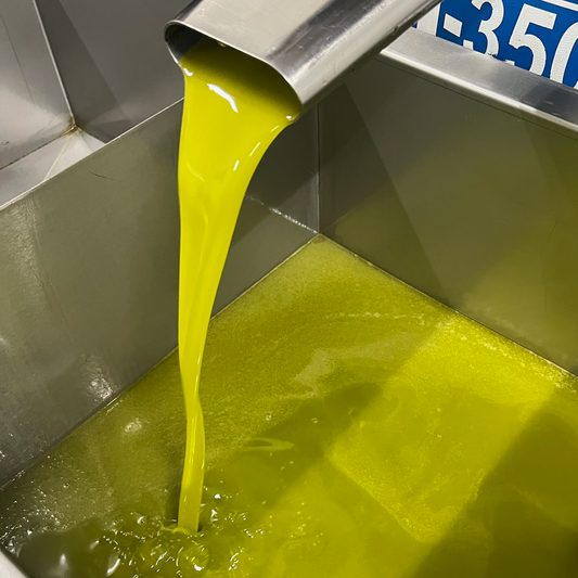 Huile d'olive vierge extra - OLIO DI SERRA x WHOOGY'S - 2025 - Bottiglia (0,5L)