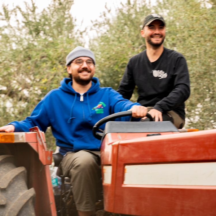 Huile d'olive vierge extra - OLIO DI SERRA x WHOOGY'S - 2025 - Bottiglia - 0,5L