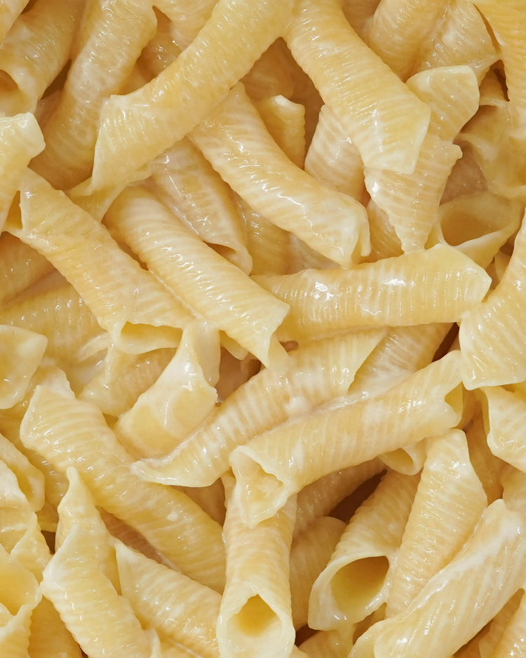 Garganelli all uovo - Garganelli aux oeufs - 500g